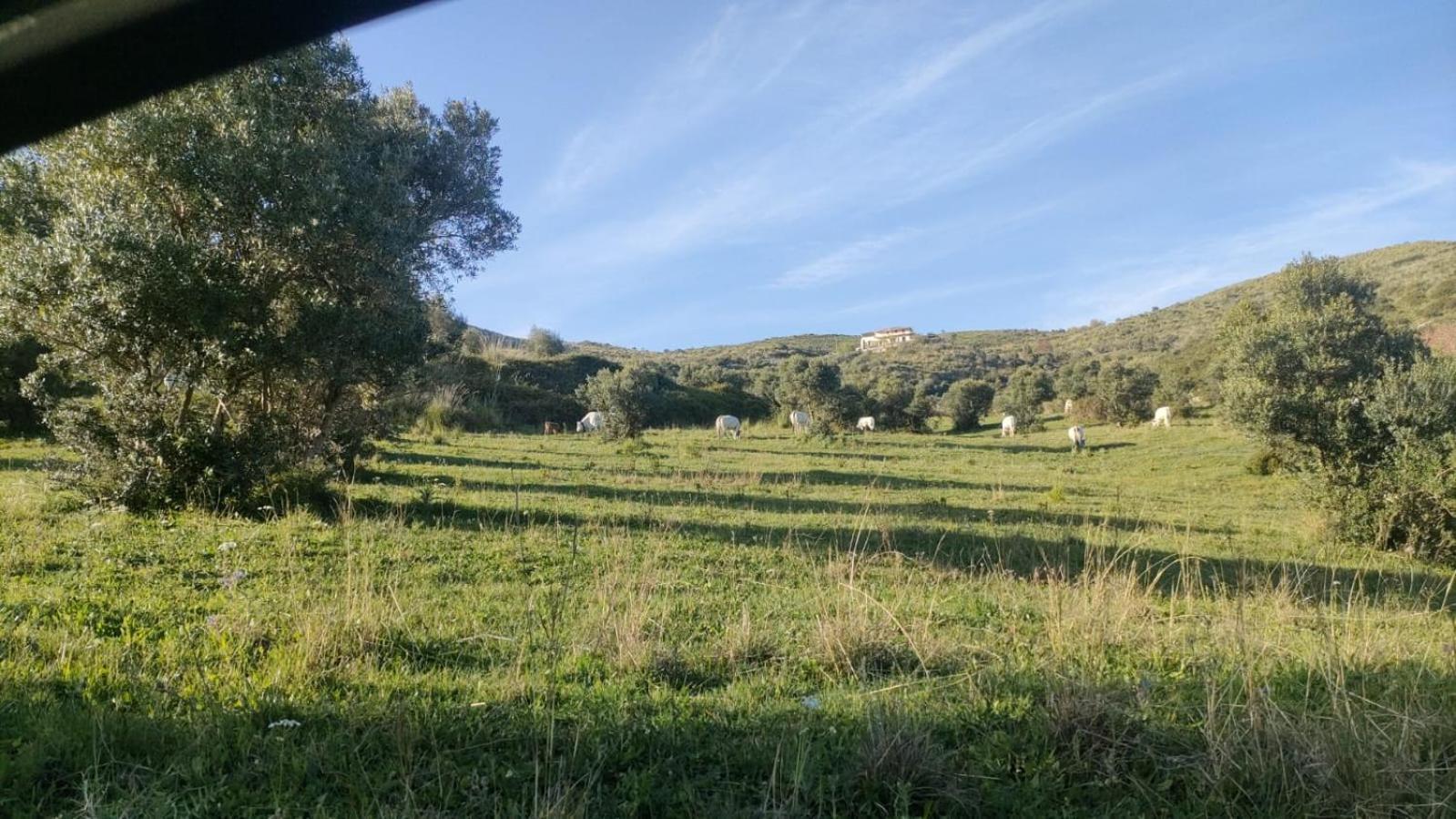 Апарт готель Il Panorama Housing Cilento Санта-Марія-ді-Кастеллабате Екстер'єр фото