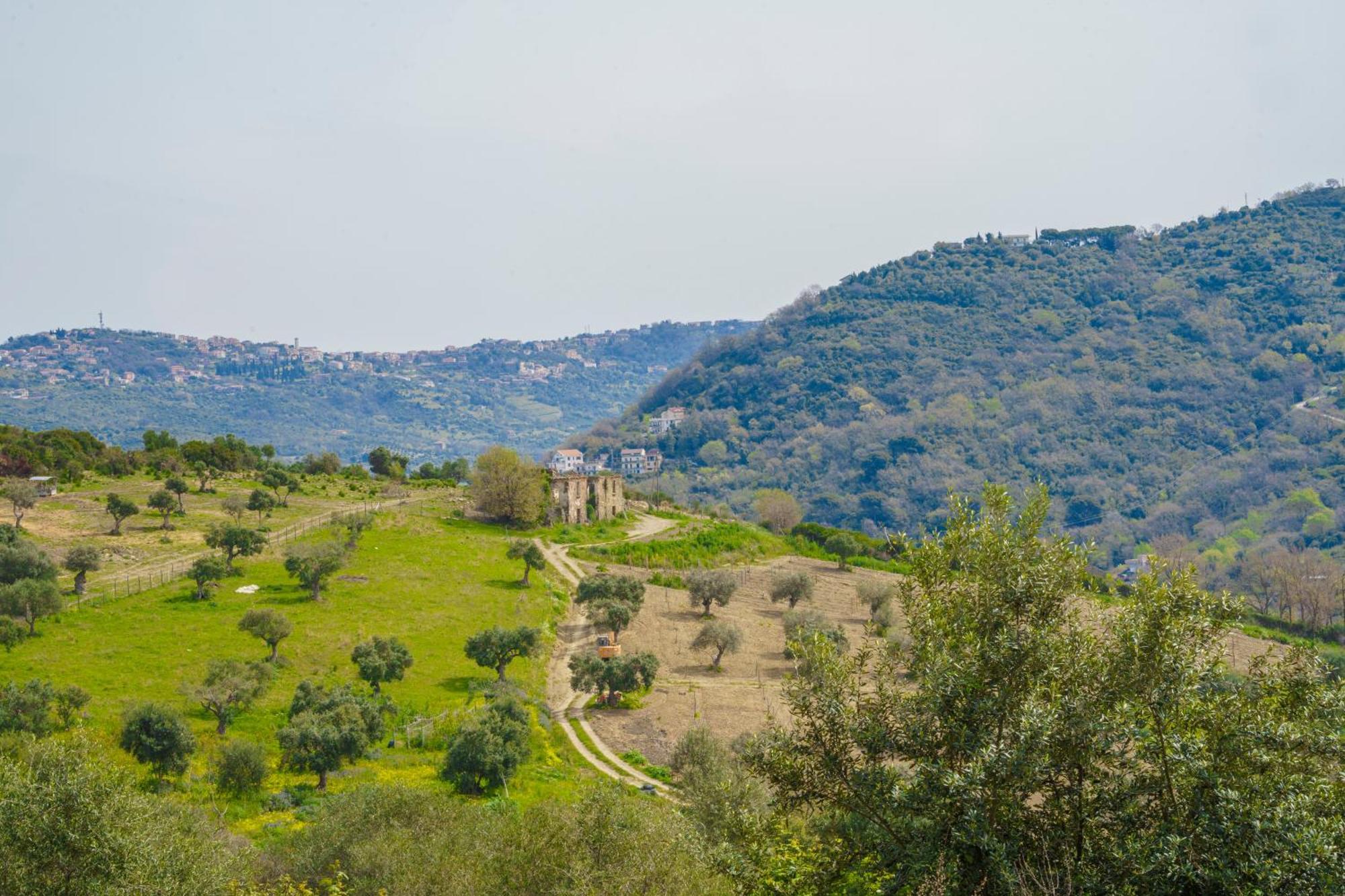 Апарт готель Il Panorama Housing Cilento Санта-Марія-ді-Кастеллабате Екстер'єр фото